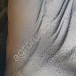 Нут и половинки нута