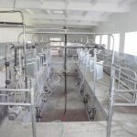 Доильный зал Елочка 2х6 в базовой комплектации