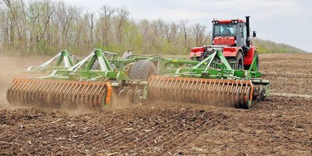 Краткий обзор зернового рынка