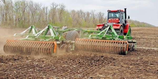 Краткий обзор зернового рынка