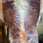 Говядина туши, полутуши.