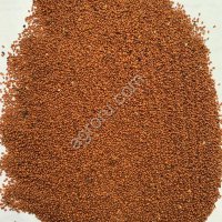 Рыжик озимый сорт Барон ЭС