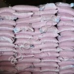 Гибриды семян кукурузы Краснодарский 291 АМВ F1 ФАО 290