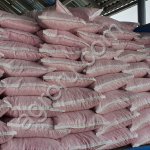 Гибриды семян кукурузы Краснодарский 291 АМВ F1 ФАО 290