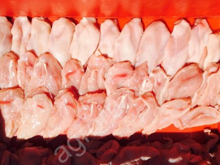 Филе грудки с куры несушки