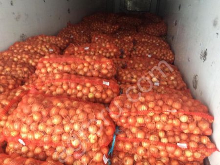 Репчатый лук оптом