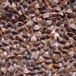 гречиху сырьё