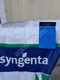 Семена кукурузы, Сингента фалькон, ФАО 190