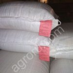 Горчица белая семена РСт