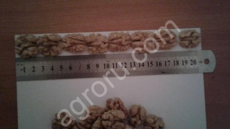 Грецкий орех