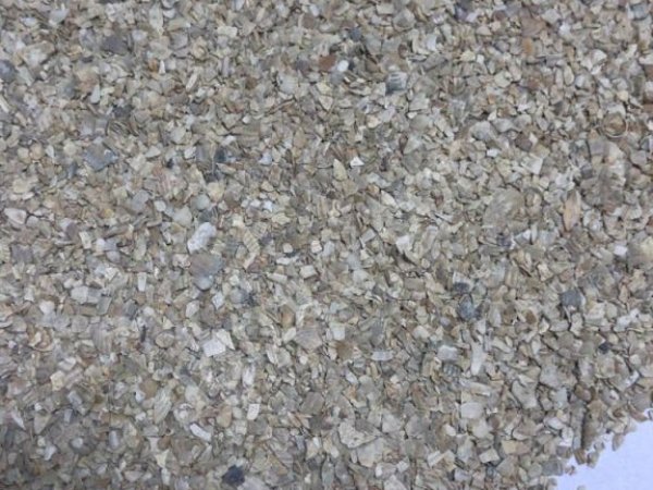 Ракушка кормовая