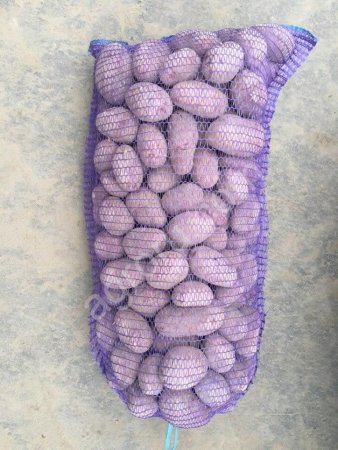 Картофель оптом от производителя