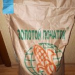 Семена кукурузы , (Гибрид) - Краснодарский - 291 , Машук