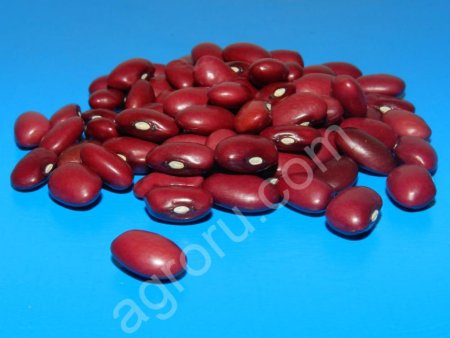 Красная фасоль из Кыргызстана