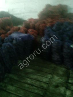 свекла оптом от 3 тонн