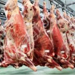 Модульные бойни и линии убоя разной производительности (оборудование для убоя)