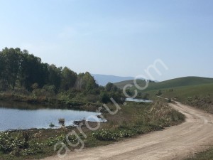 Два пруда расположенных поблизости