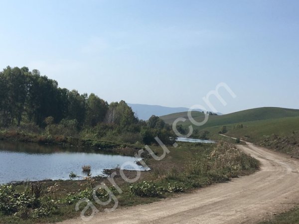 Два пруда расположенных поблизости