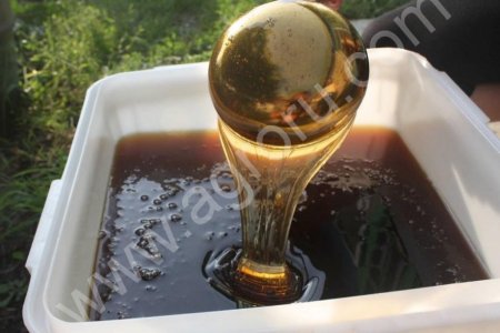 Гречишный Мёд 2017 года