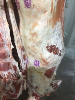 Баранина свежая замарозка