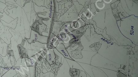 КФХ с землей в 250 ГА