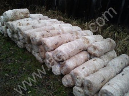 Отработанный грибные блоки