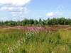 земля с/х назначения