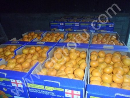 Оптовые мандаринов