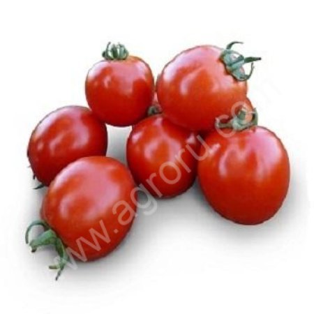 Семена томата Aswan F1 / Асвон фирмы КИТАНО