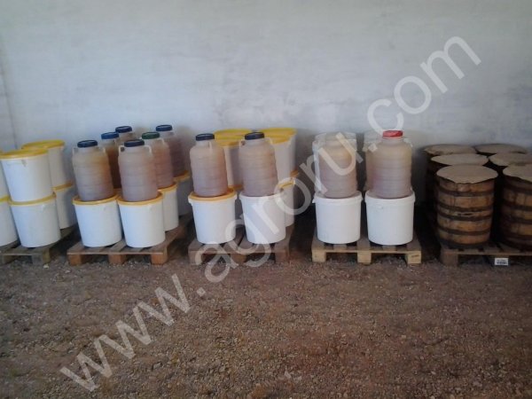 мед оптом от производителя.