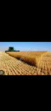 Земля 50 гектар