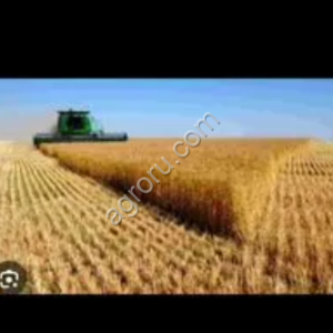 Земля 50 гектар