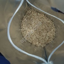 Семена укропа сорт Аллигатор