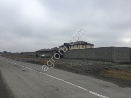 ферм, хозяйств, агробизнес