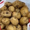 Картофель Ривьера опт