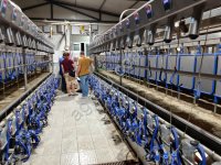 Доильный зал для коз Sylco Параллель