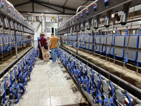 Доильный зал для коз Sylco Параллель