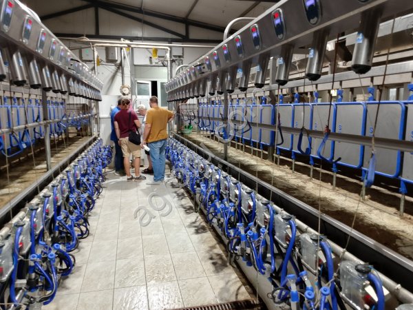 Доильный зал для коз Sylco Параллель