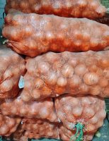 Молодой лук от производителя 6+ калибр