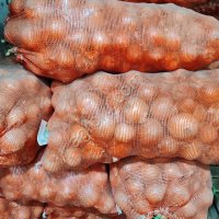 Молодой лук от производителя 6+ калибр