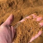 Жмых горчичный