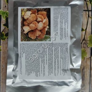 Экстракт Hericium erinaceus,100 гр,