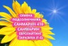 ГИБРИДЫ СЕМЕНА ПОДСОЛНЕЧНИКА САНМАРИН 410 (ЕВРОЛАЙТИНГ, АНАЛОГ НЕОМА)