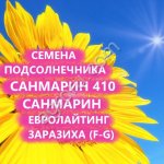 ГИБРИДЫ СЕМЕНА ПОДСОЛНЕЧНИКА САНМАРИН 410 (ЕВРОЛАЙТИНГ, АНАЛОГ НЕОМА)