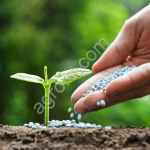 Хлорид калия / Potassium chlorid KCl