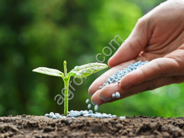 Хлорид калия / Potassium chlorid KCl