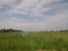 Земля для сельхозпроизводства и др. целей