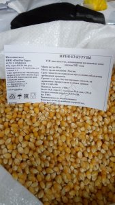 Зерно для попкорна