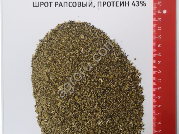 Шрот рапсовый