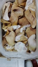 Уши свиные замороженные